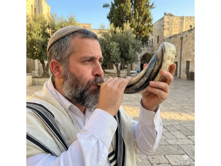 Extra Large Polished Ram's Horn Shofar — Handcrafted in Israel - Image 4