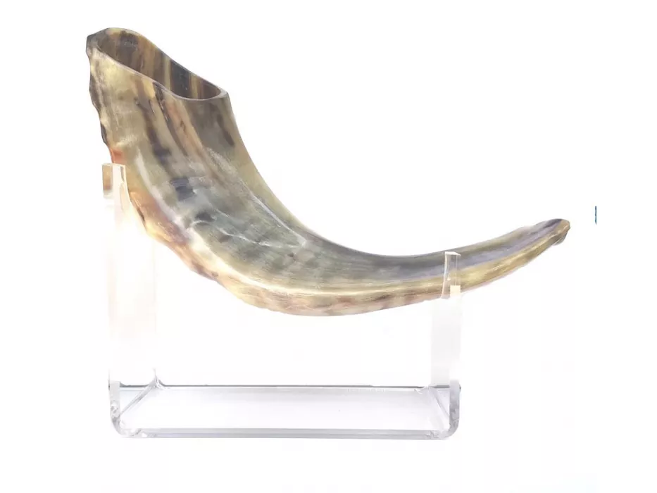 Extra Large Polished Ram's Horn Shofar — Handcrafted in Israel - Image 7